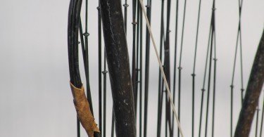 Tomb Raider: O Instrumento