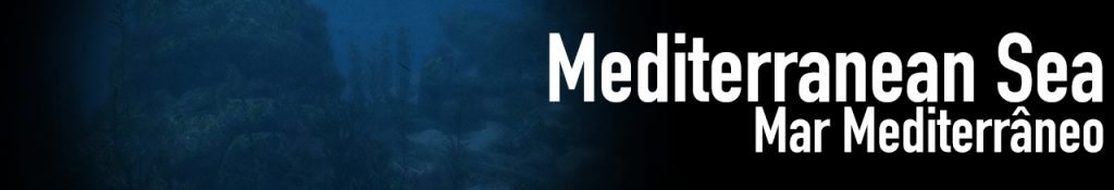 Detonado Tomb Raider Underworld (PS2)