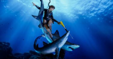 Weta Workshop revela estatueta de Lara Croft baseada em Tomb Raider: Underworld